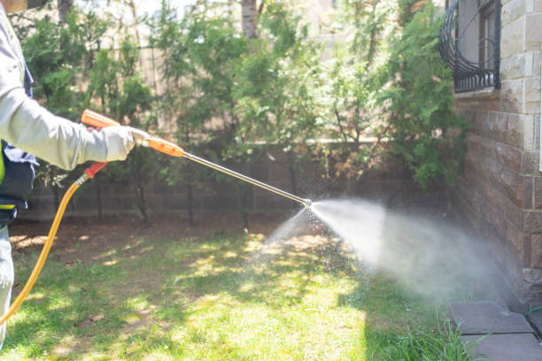 Best Pest Inspection Near Me  in Essexville, MI