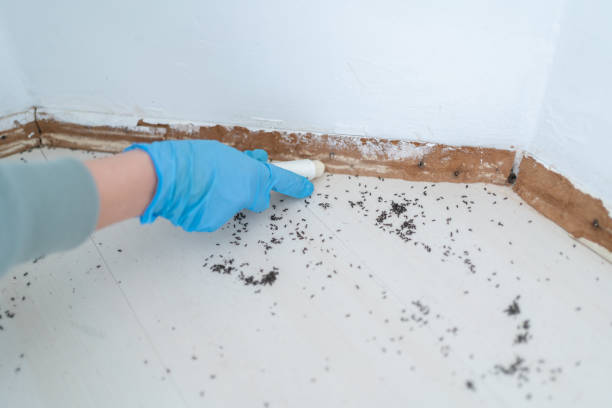 Best Pest Removal Services  in Essexville, MI